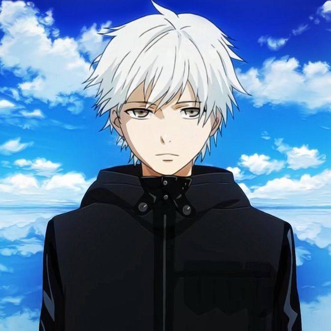 Abdul Majeed - Developer & SEO Expert